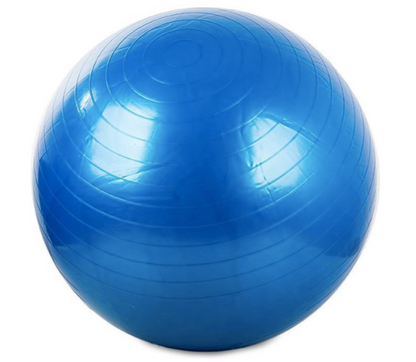 Gymnastiekbal 60cm inclusief Pomp